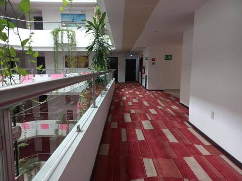 a corridor of an office building with plants on the floor at Paris FC Hotel in Poza Rica de Hidalgo