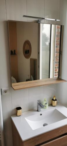 La salle de bains est pourvue d'un lavabo et d'un grand miroir. dans l'établissement Au cœur de Sens, à Sens