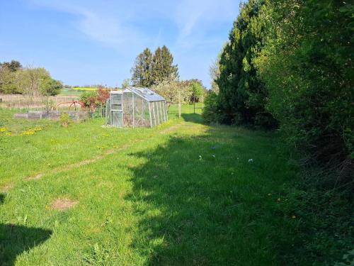 a green greenhouse in a field of grass at 6 person holiday home in Borre in Borre