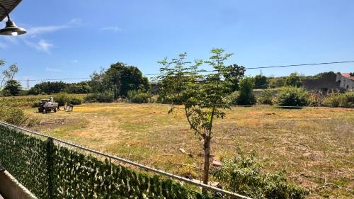 a field with a tree in the middle of it at Hidden Leaf Villa in Caoayan
