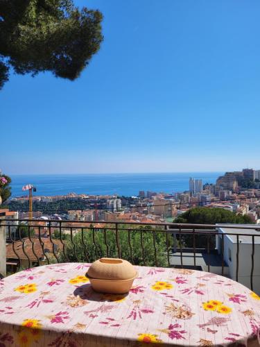 Appartement dans villa provençale avec terrain de boules vue imprenable sur monaco