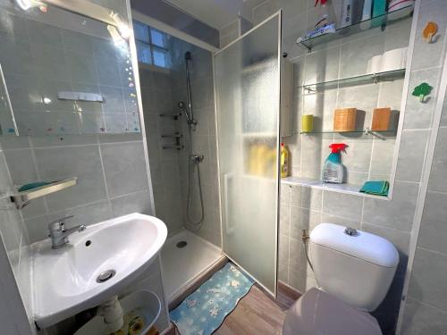 une salle de bain avec toilettes, lavabo et douche dans l'établissement Appartement T2 proche plage avec terrasse - FR-1-837-16, à Argelès-sur-Mer