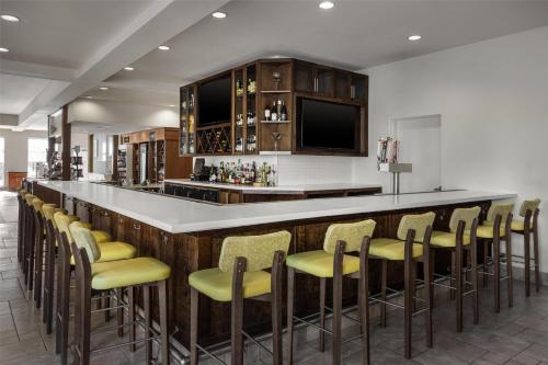 a bar with yellow stools in a room at Hilton Garden Inn Pascagoula in Pascagoula