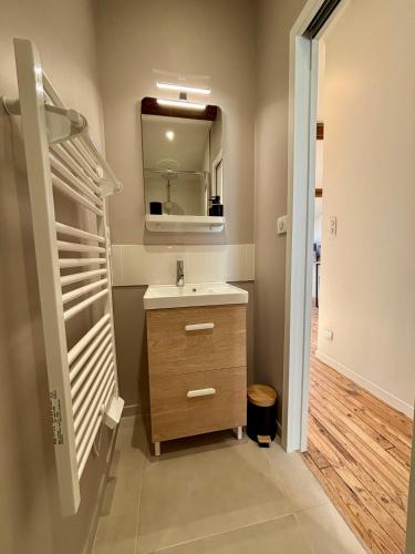 a bathroom with a sink and a mirror at Appartement 2 personnes - Centre ville in Saint-Dizier