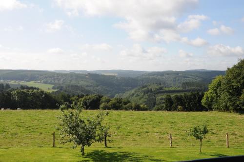 a field of green grass with two trees in it at Le Panorama Nadrin in Nadrin
