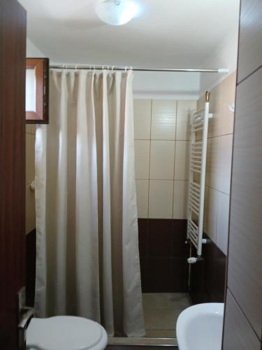 bagno con tenda per la doccia e servizi igienici di Casa Fabrizio a Călimăneşti