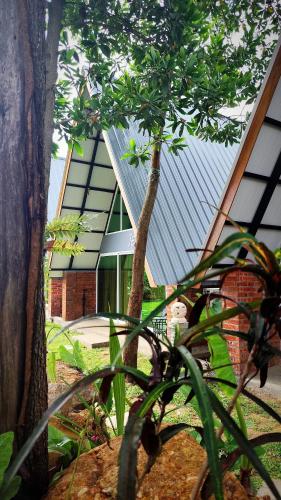 a building with a tree in front of it at The Bukit Resort Langkawi in Kampung Padang Masirat