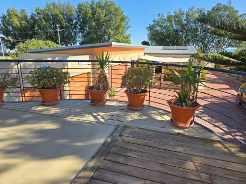 a group of potted plants sitting on a deck at Beach Side Retreat in Lancelin