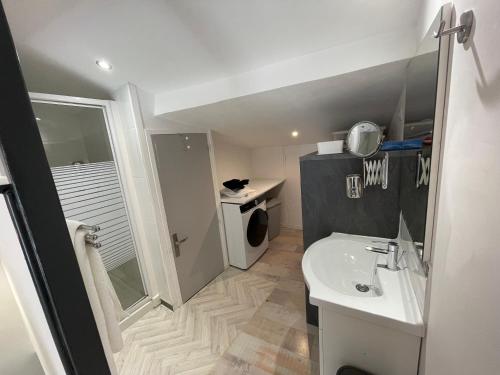 une salle de bain avec un lavabo et une machine à laver dans l'établissement Duplex cosy, à Chabeuil