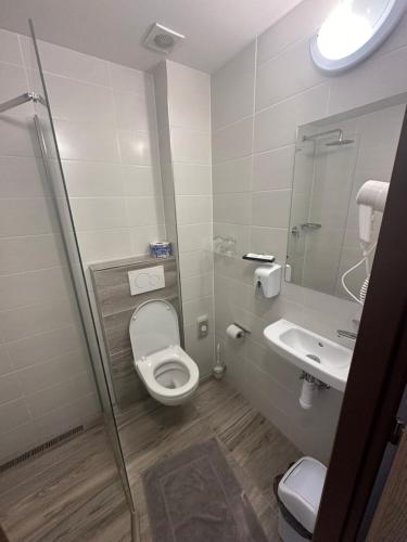 a bathroom with a toilet and a sink at Hotel Alf in Borovany