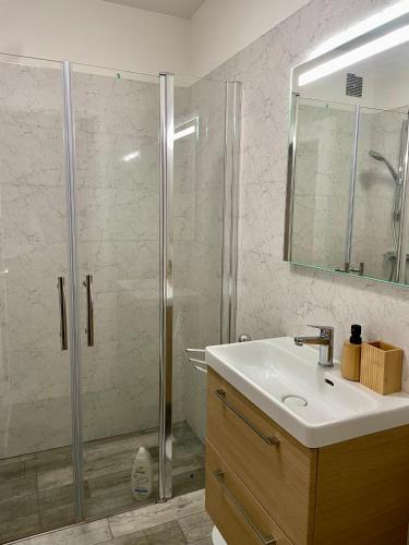 une salle de bain avec une douche, un lavabo et un miroir dans l'établissement Centre Juan Les Pins studio La Goelette terrasse, à Antibes