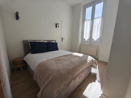 a bedroom with a bed with a blue pillow at L'Appart de Soph in Mâcon