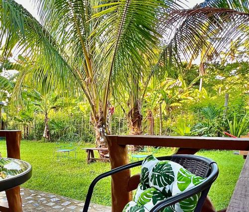 Een tuin van Palm Haven w Starlink