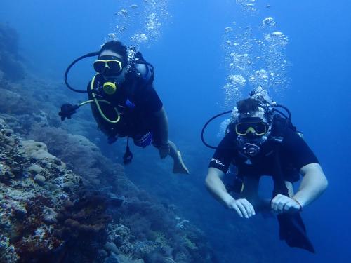 Hosté ubytování Pasir Putih Cottage - Menjangan
