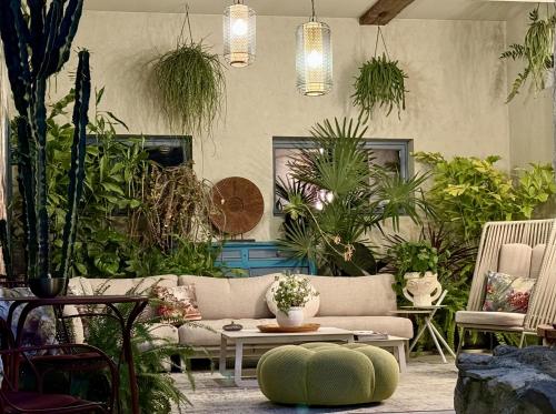 un salon rempli de nombreuses plantes dans l'établissement L'Oiseau Bleu ROLLIER, à Roubia