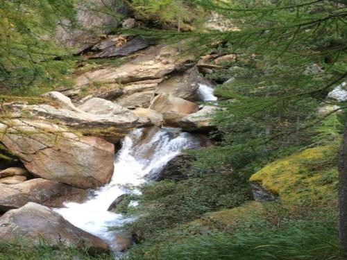 a stream of water in the middle of a forest at Chalet Stadel Alpine Comfort in Saas-Grund