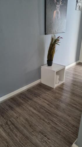 a room with a white cabinet and a potted plant at Stadtnah an der Förde 7502 E in Flensburg