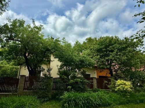 Beautiful house by the river with its own dock