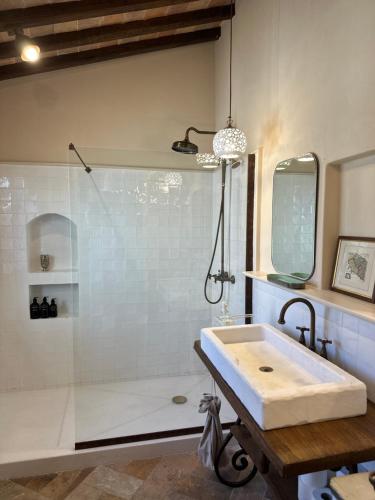 a bathroom with a shower and a white sink at Nido di Gufi in Todi