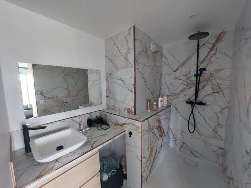 une salle de bain avec un lavabo et un miroir dans l'établissement Paris La Défense, balcon et vue d'exception 24e etage, à Puteaux