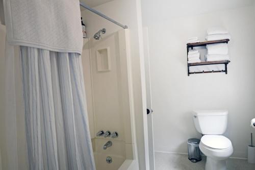a white bathroom with a toilet and a shower at Entire Oceanfront Home Breathtaking 180 Views Near San Francisco in Montara