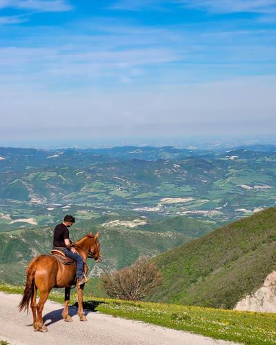 a man riding a horse on a dirt road at Agriturismo Cardella in Piobbico