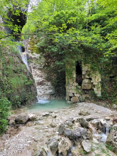 a small pool of water next to a waterfall at Agriturismo Cardella in Piobbico
