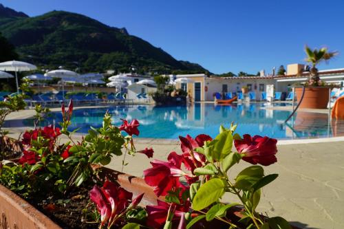 a view of a resort swimming pool with red flowers at Hotel Parco Delle Agavi in Ischia