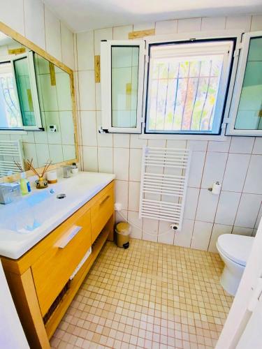 une salle de bain avec un lavabo et des toilettes et des fenêtres dans l'établissement Villa Doisy, à La Colle-sur-Loup
