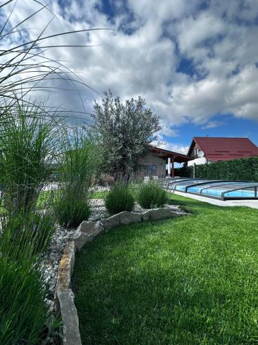 a yard with a swimming pool and some grass at Vila Alma in Ilganii de Jos