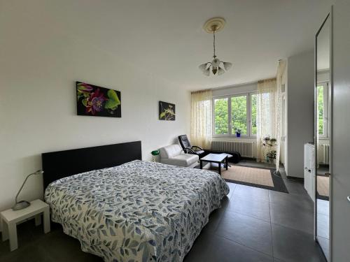 a bedroom with a bed and a chair at Guesthouse Ostello dell Arte in Trarego Viggiona