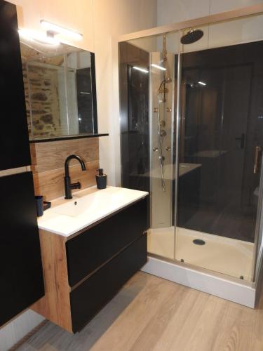 a bathroom with a sink and a shower at Chambre d'hôtes de charme Pierres anciennes, confort et nature in Savignac-Lédrier