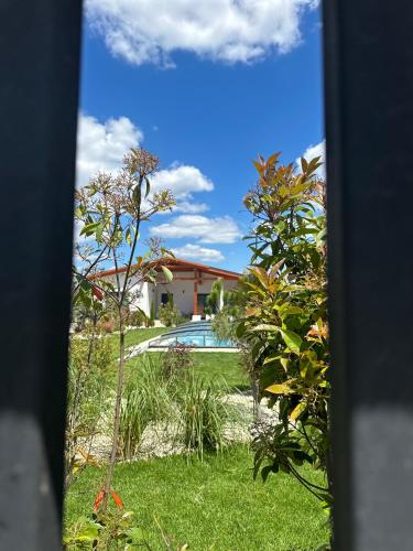 a view of a yard with a house in the background at Vila Alma in Ilganii de Jos