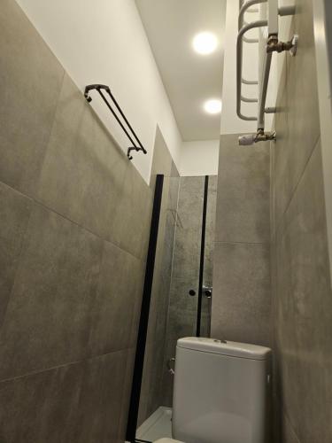 a bathroom with a toilet and a shower at Kamienica Nowodworska 30 in Bydgoszcz