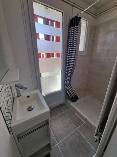 une salle de bain avec un lavabo et une douche dans l'établissement La perle du lac, à Thonon-les-Bains