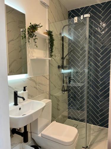 ein Badezimmer mit Toilette, Waschbecken und Dusche in der Unterkunft Modern Garden Studio for comfy stay in Luton