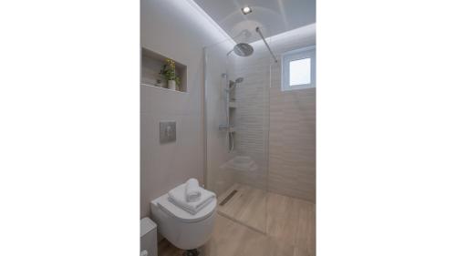 a bathroom with a toilet and a shower at Studios Nelli Alonissos in Patitiri