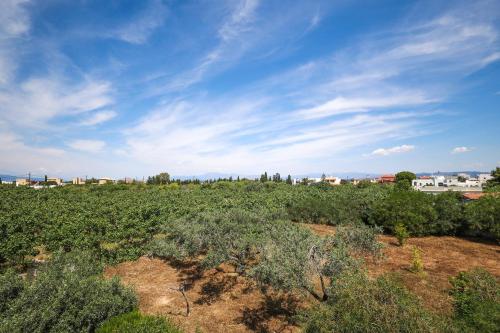 Φυσικό τοπίο κοντά σε αυτό το διαμέρισμα