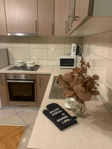 Zorica Apartment 4