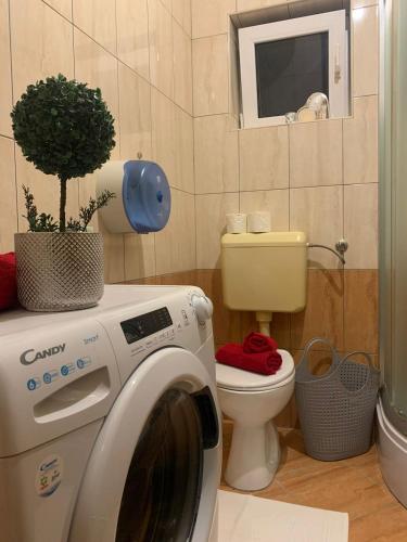 Zorica Apartment 4
