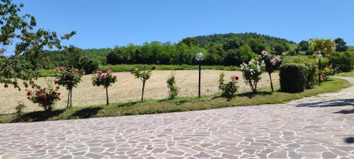 a garden of flowers and trees on a sidewalk at B&B Terra Camerte in Camerino