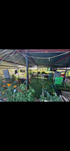 a group of chairs under a tent with flowers at Guru guest house in Leh