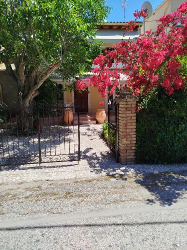Edificio en el que se encuentra la casa o chalet