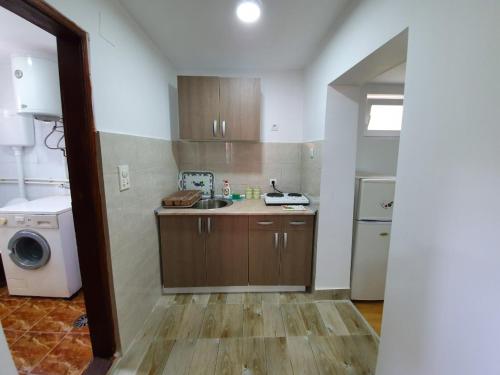 a kitchen with a sink and a washing machine at Studio Konak 4 Sokobanja in Soko Banja