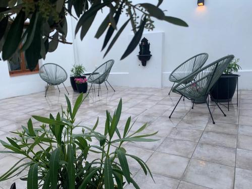 a group of chairs and plants in a room at La Rinconada de Perales in Perales de Tajuña