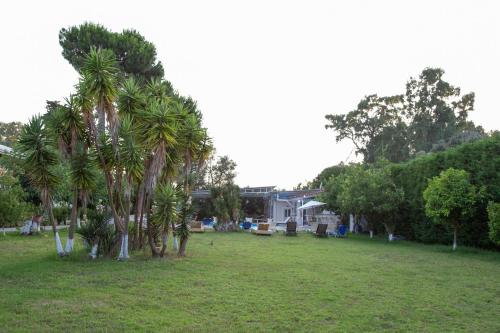 a group of palm trees in a field at Villa Preveza Apartments in Preveza