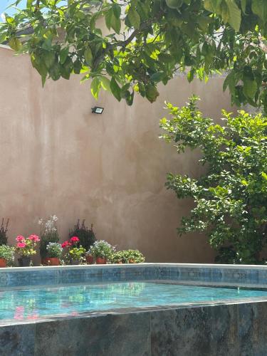 a swimming pool in a garden with plants and trees at Can Vilàs in Muro