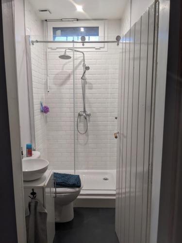 une salle de bain avec une douche, des toilettes et un lavabo dans l'établissement Gite d'étape Canal de Garonne, à Buzet-sur-Baïse