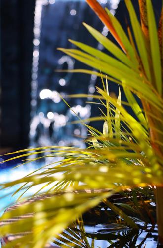 Gallery image of ENTEBBE-STAY Aparthotel - KITOORO in Entebbe