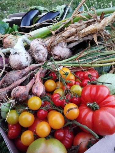 Un paquet de légumes assis dans une boîte dans l'établissement Domaine Les secrets de la nature, à Savignac-Lédrier
